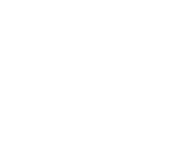 VIVANTE